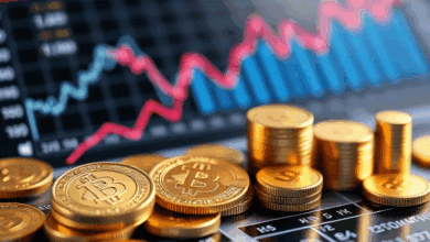 financial ratios – company performance metrics