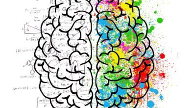 brain, mind, psychology, idea, drawing, split personality, thought, chaos, doubt, open mind, gray matter, insecurity, anxiety, ideas, comparison, fantasy, creativity, head, thoughts, concentration, creativeness, color, mathematics, logic, calculation, brain, brain, brain, brain, brain, mind