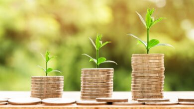 money, profit, finance, business, return, yield, financial, cash, currency, investment, banking, wealth, coin, economy, success, loan, salary, rich, credit, payment, savings, save, deposit, growth, income