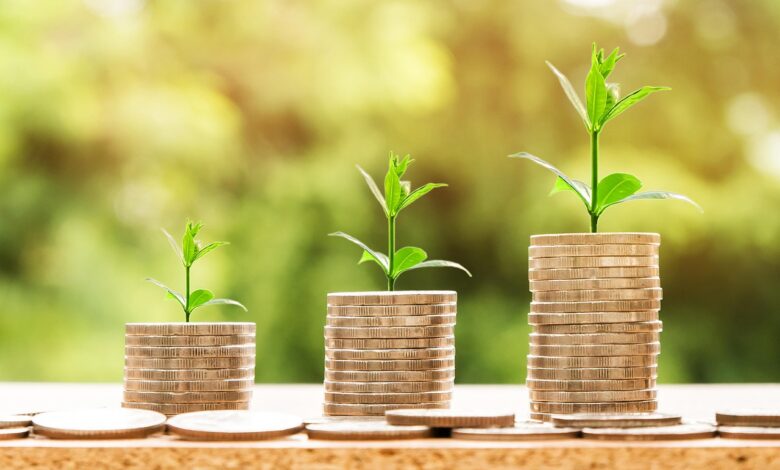 money, profit, finance, business, return, yield, financial, cash, currency, investment, banking, wealth, coin, economy, success, loan, salary, rich, credit, payment, savings, save, deposit, growth, income