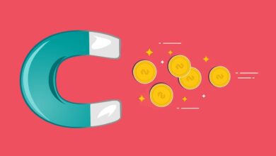 money, magnet, attracting, finance, business, success, attract, earn, magnetism, force, income, investment, wealth, idea, profit, dollar, rich, magnetic, financial, horseshoe, coin, revenue, strategy, red business, red money, red finance, red company, red idea, magnet, magnet, magnet, magnet, magnet, revenue, revenue, revenue, revenue