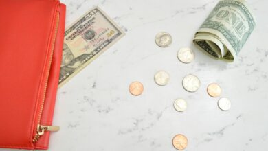 red leather pouch on 50 us dollar banknote