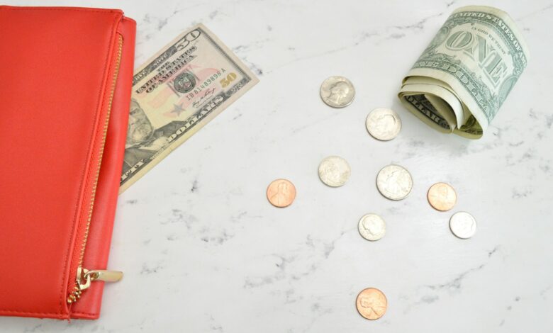 red leather pouch on 50 us dollar banknote