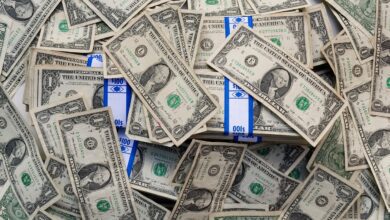 money, cash, dollars, finance, greenback, usd, bank, bank notes, money, money, money, money, money