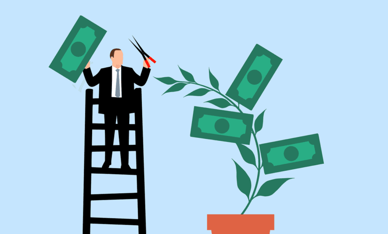 business man, investment, profit, gain, business, collect, money, plant, trim, trimming, scissors, finance, success, growth, wealth, cash, rich, savings, income, nature, earnings, accounting, cartoon, salary, payment, passive income