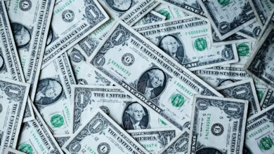 1 u.s.a dollar banknotes