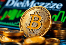 digital magazine – online publication income