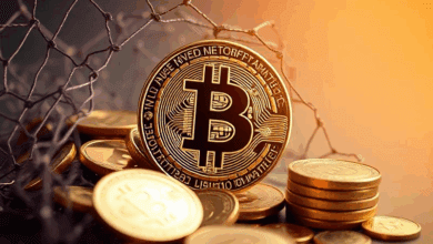 emergency funds – financial safety nets