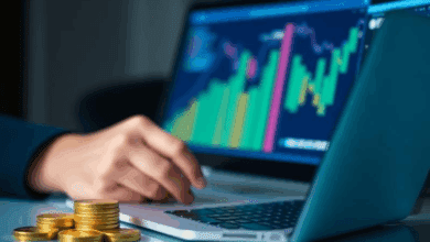 digital organizing – productivity service income