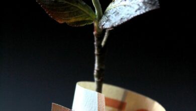 brown and white paper bag