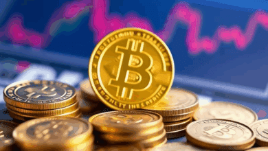 dividend analysis – income-focused investment strategies